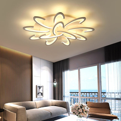 Kreatives Deckenleuchte-Haus Hall Dining Room Bedroom Lamp der Persönlichkeits-LED